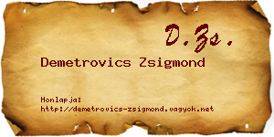 Demetrovics Zsigmond névjegykártya